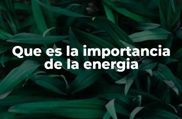 Que es la Importancia de la Energia