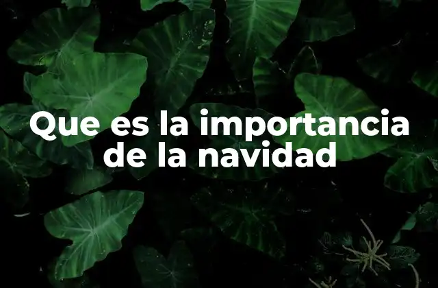 Que es la Importancia de la Navidad