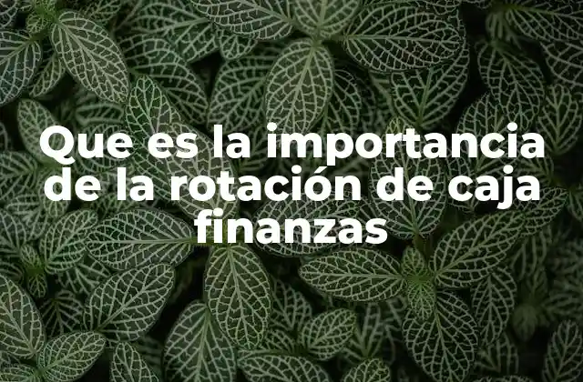 Que es la Importancia de la Rotación de Caja Finanzas