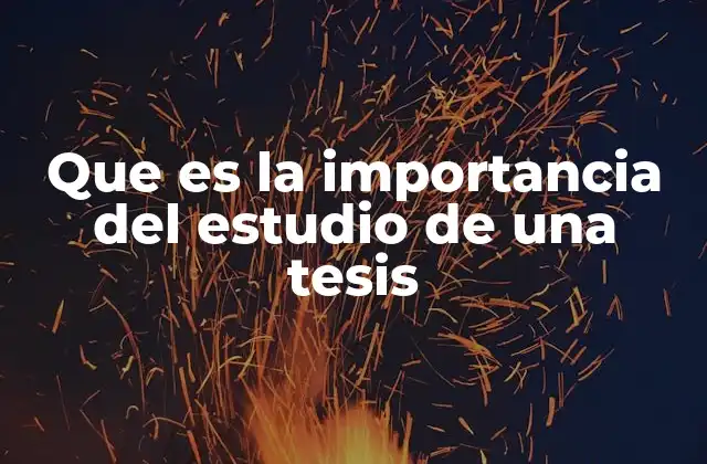 Que es la Importancia Del Estudio de una Tesis