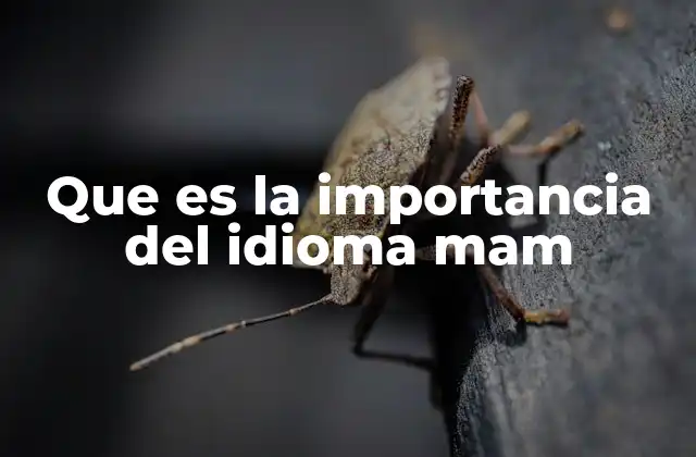 Que es la Importancia Del Idioma Mam