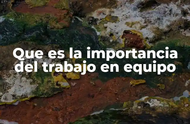 La sinergia detrás de la colaboración laboral