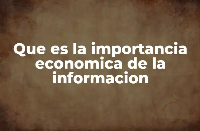 Que es la Importancia Economica de la Informacion