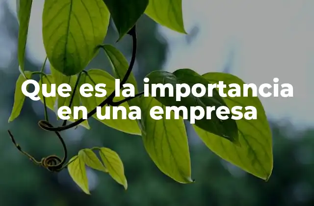 Que es la Importancia en una Empresa