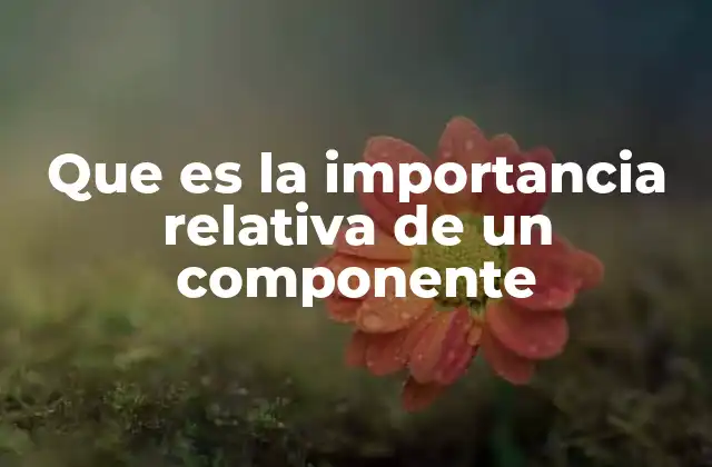 Que es la Importancia Relativa de un Componente