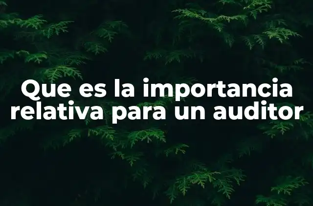 Cómo la importancia relativa influye en el juicio profesional del auditor