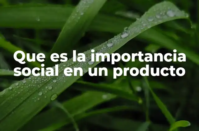 Que es la Importancia Social en un Producto