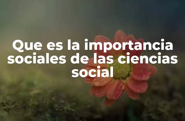 Que es la Importancia Sociales de las Ciencias Social