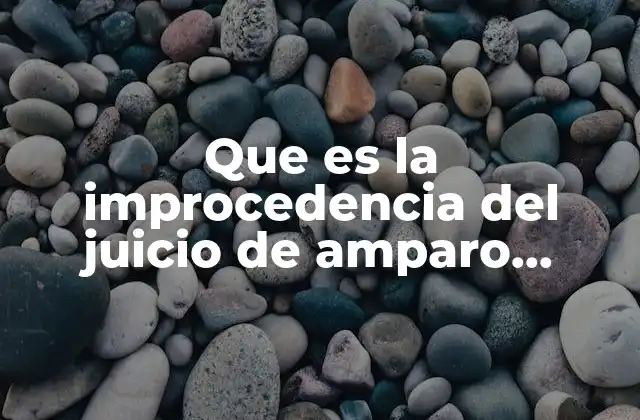 Que es la Improcedencia Del Juicio de Amparo Ensayo Corto