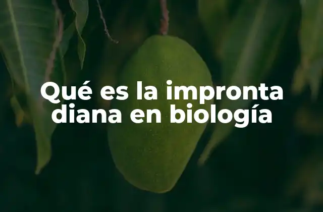 Qué es la Impronta Diana en Biología