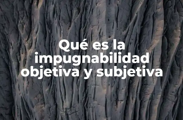 Qué es la Impugnabilidad Objetiva y Subjetiva