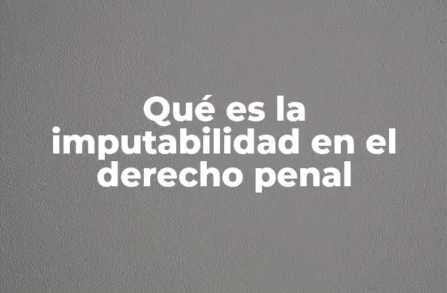 Qué es la Imputabilidad en el Derecho Penal