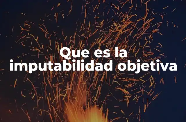 Que es la Imputabilidad Objetiva