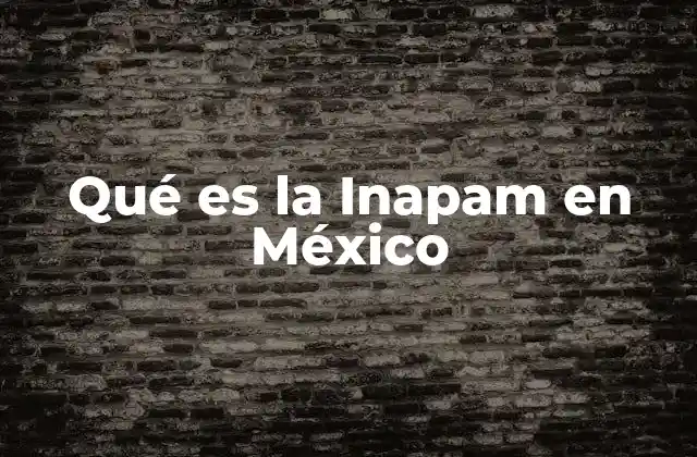 Qué es la Inapam en México