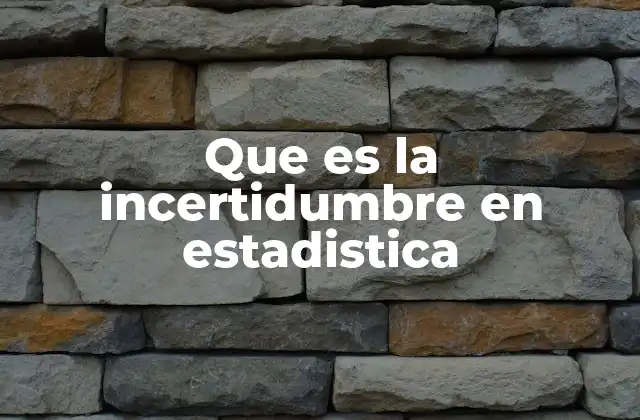 Que es la Incertidumbre en Estadistica