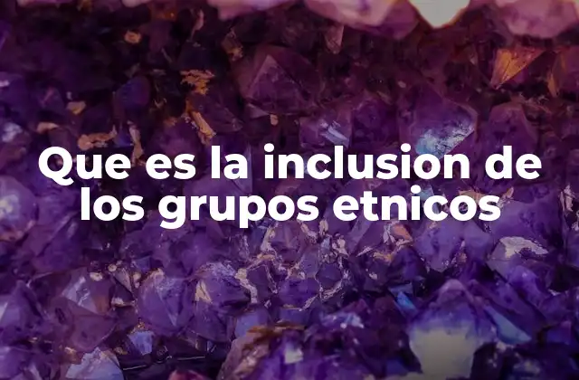 Que es la Inclusion de los Grupos Etnicos