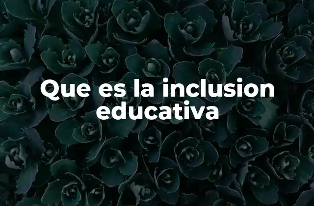 Que es la Inclusion Educativa