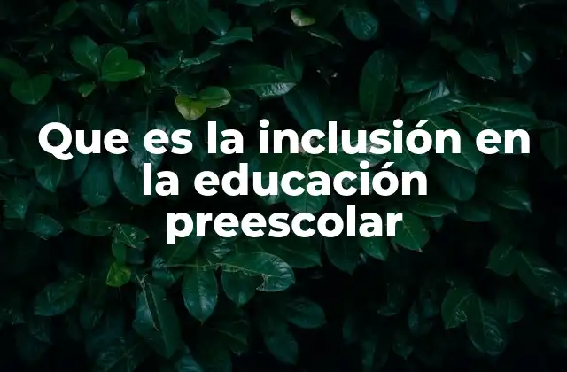 Que es la Inclusión en la Educación Preescolar
