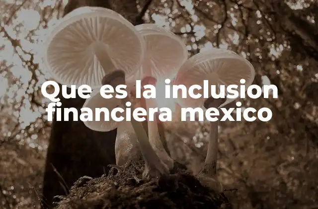 Que es la Inclusion Financiera Mexico