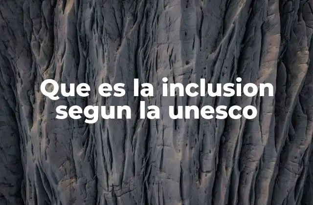 Que es la Inclusion Segun la Unesco