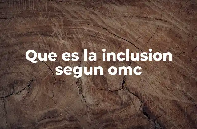Que es la Inclusion Segun Omc