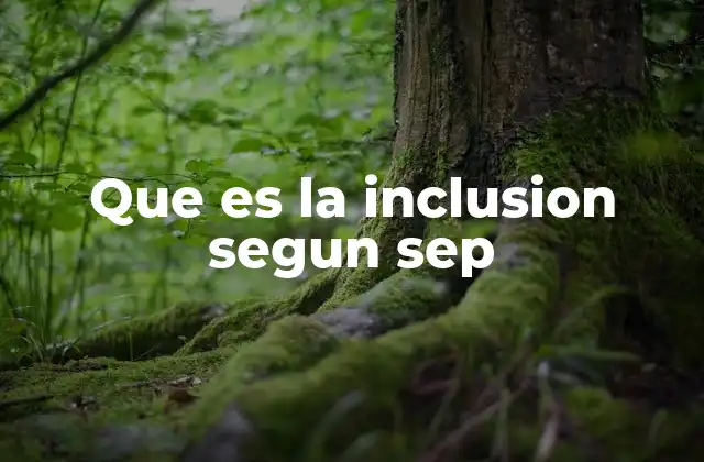 Que es la Inclusion Segun Sep