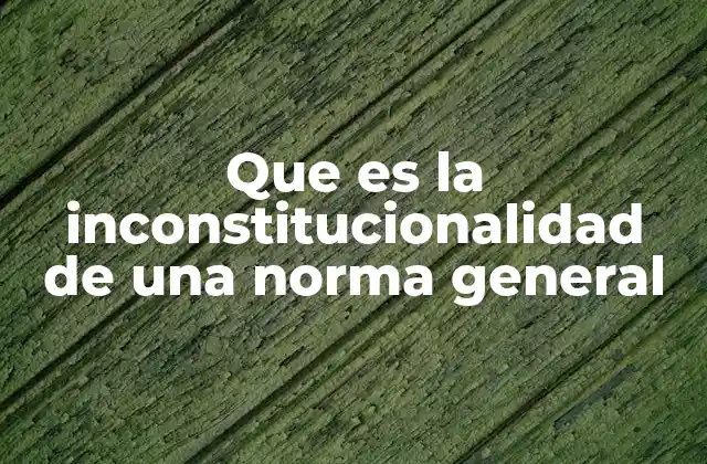 Que es la Inconstitucionalidad de una Norma General 2 El control de constitucionalidad como mecanismo de protección