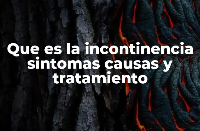 Que es la Incontinencia Sintomas Causas y Tratamiento
