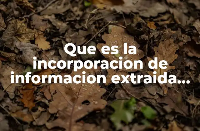 Que es la Incorporacion de Informacion Extraida de Investigaciones
