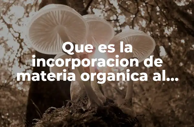 Que es la Incorporacion de Materia Organica Al Suelo