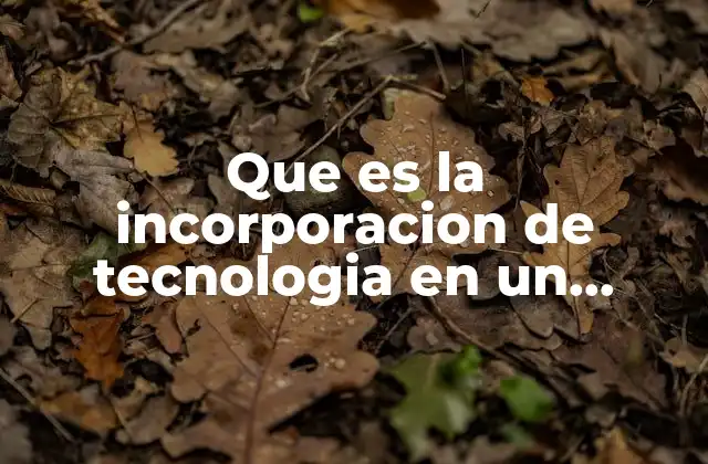 Que es la Incorporacion de Tecnologia en un Negocio