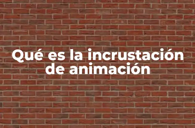 Qué es la Incrustación de Animación