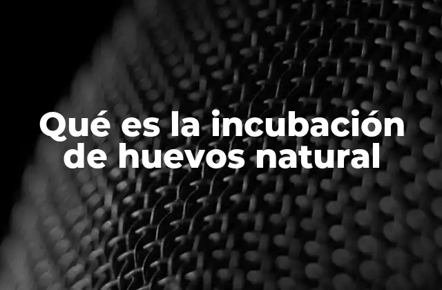 Qué es la Incubación de Huevos Natural