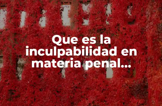 Que es la Inculpabilidad en Materia Penal Enciclopedia Juridica