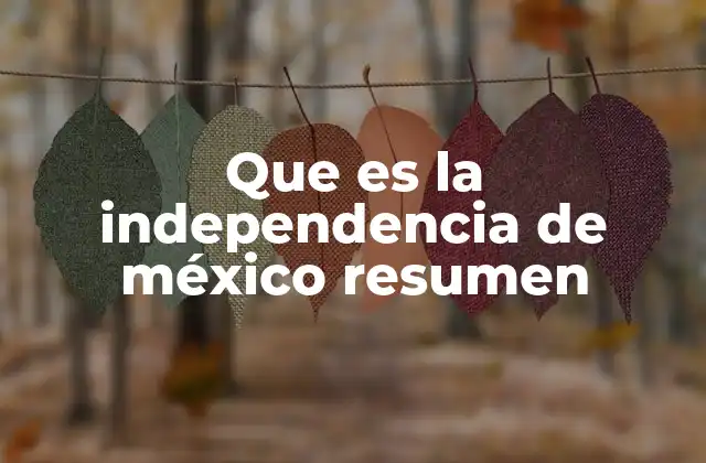 Que es la Independencia de México Resumen