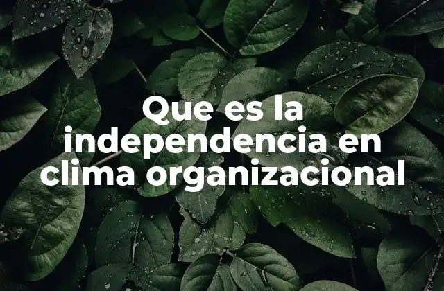 Que es la Independencia en Clima Organizacional