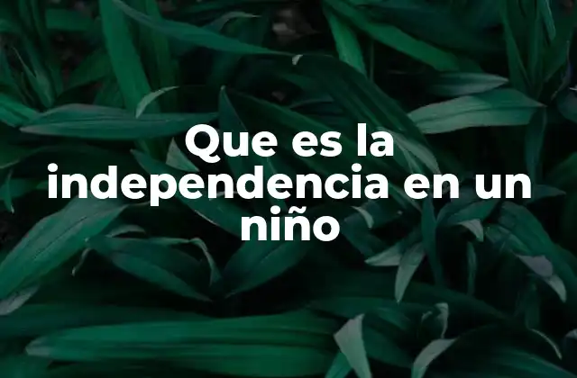 Que es la Independencia en un Niño