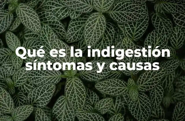 Qué es la Indigestión Síntomas y Causas