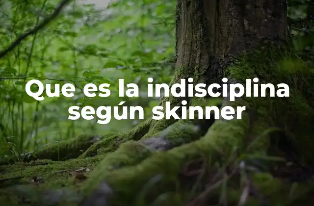 Que es la Indisciplina según Skinner