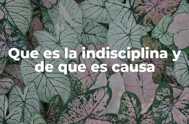 Que es la Indisciplina y de que es Causa
