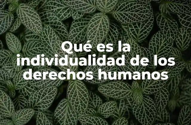 Qué es la Individualidad de los Derechos Humanos