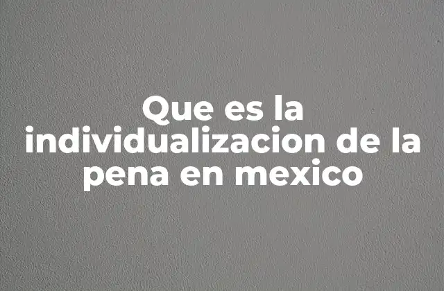 Que es la Individualizacion de la Pena en Mexico