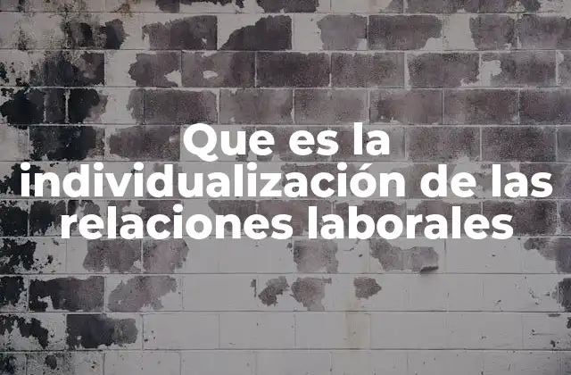 Que es la Individualización de las Relaciones Laborales