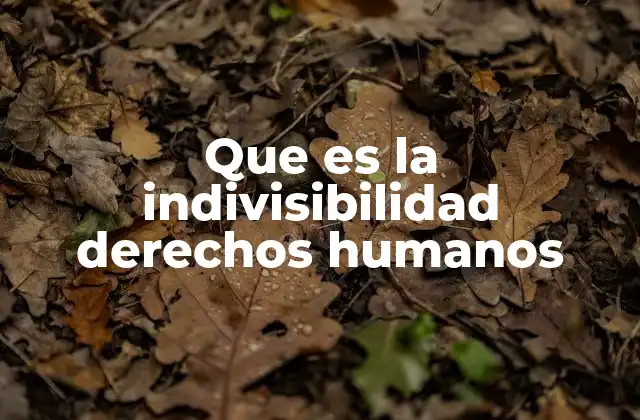 Que es la Indivisibilidad Derechos Humanos 2 La importancia de ver los derechos humanos como un todo