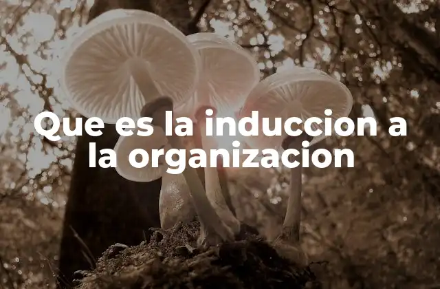 Que es la Induccion a la Organizacion