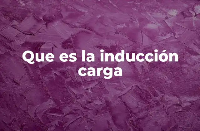 Que es la Inducción Carga
