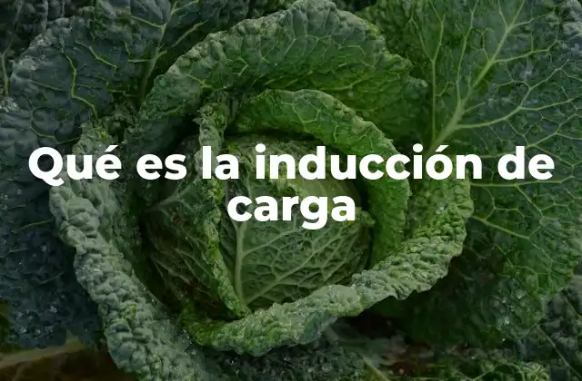 Qué es la Inducción de Carga