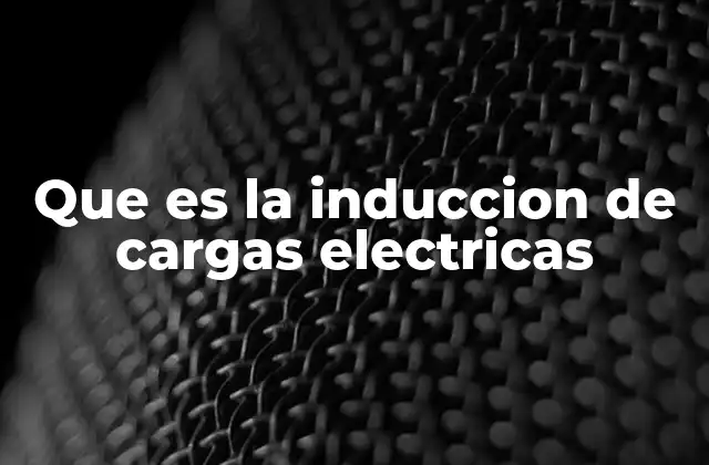 Que es la Induccion de Cargas Electricas 2 Cómo se diferencia la inducción de otros métodos de carga