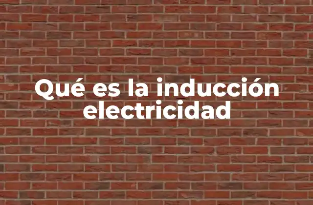 Qué es la Inducción Electricidad