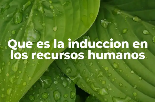 Que es la Induccion en los Recursos Humanos